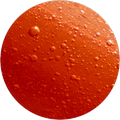 Acide succinique